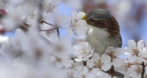 Untitled design (9).png